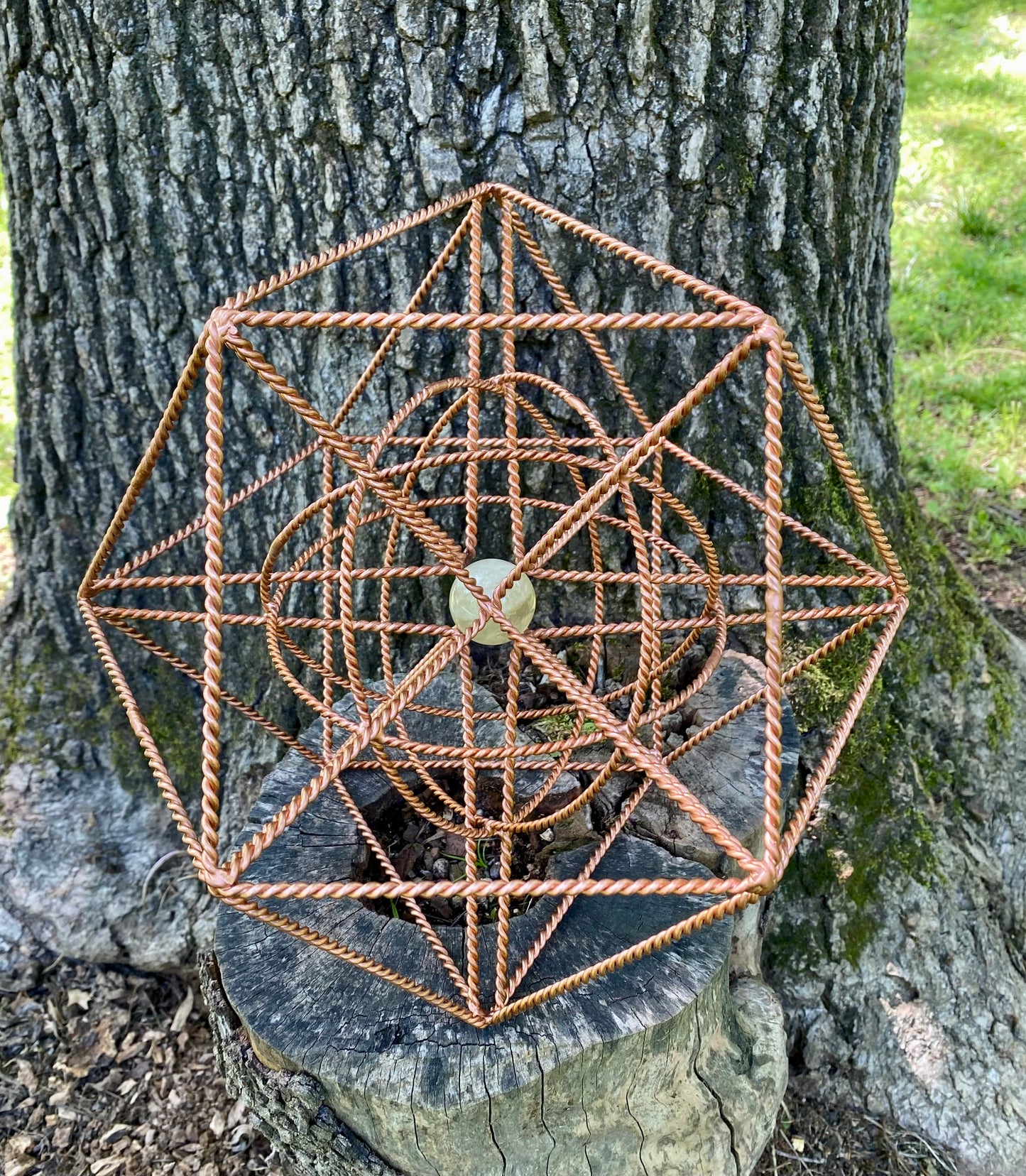 OmniStar