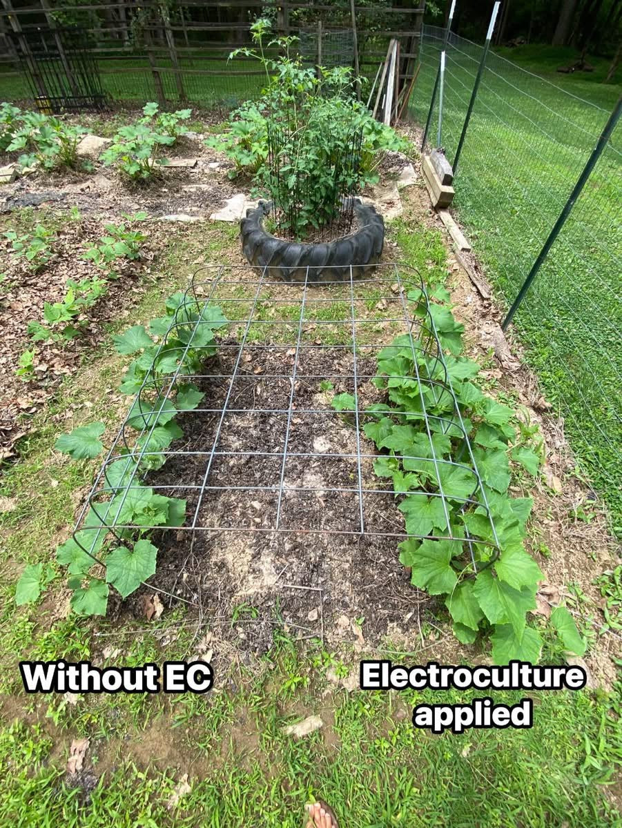 ElectroCulture Garden Antenna