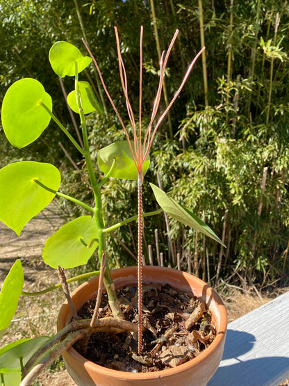 ElectroCulture Antenna - Vintage Design
