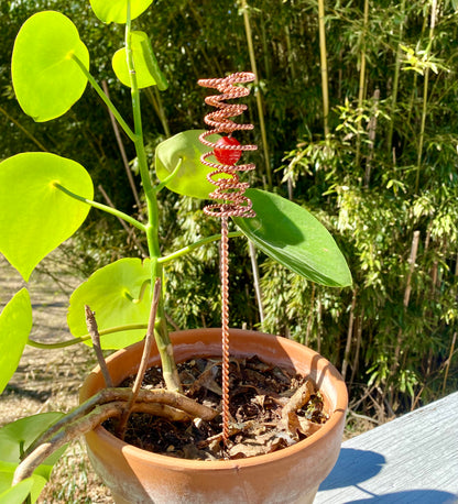 Wave Field Coil - ElectroCulture Antenna