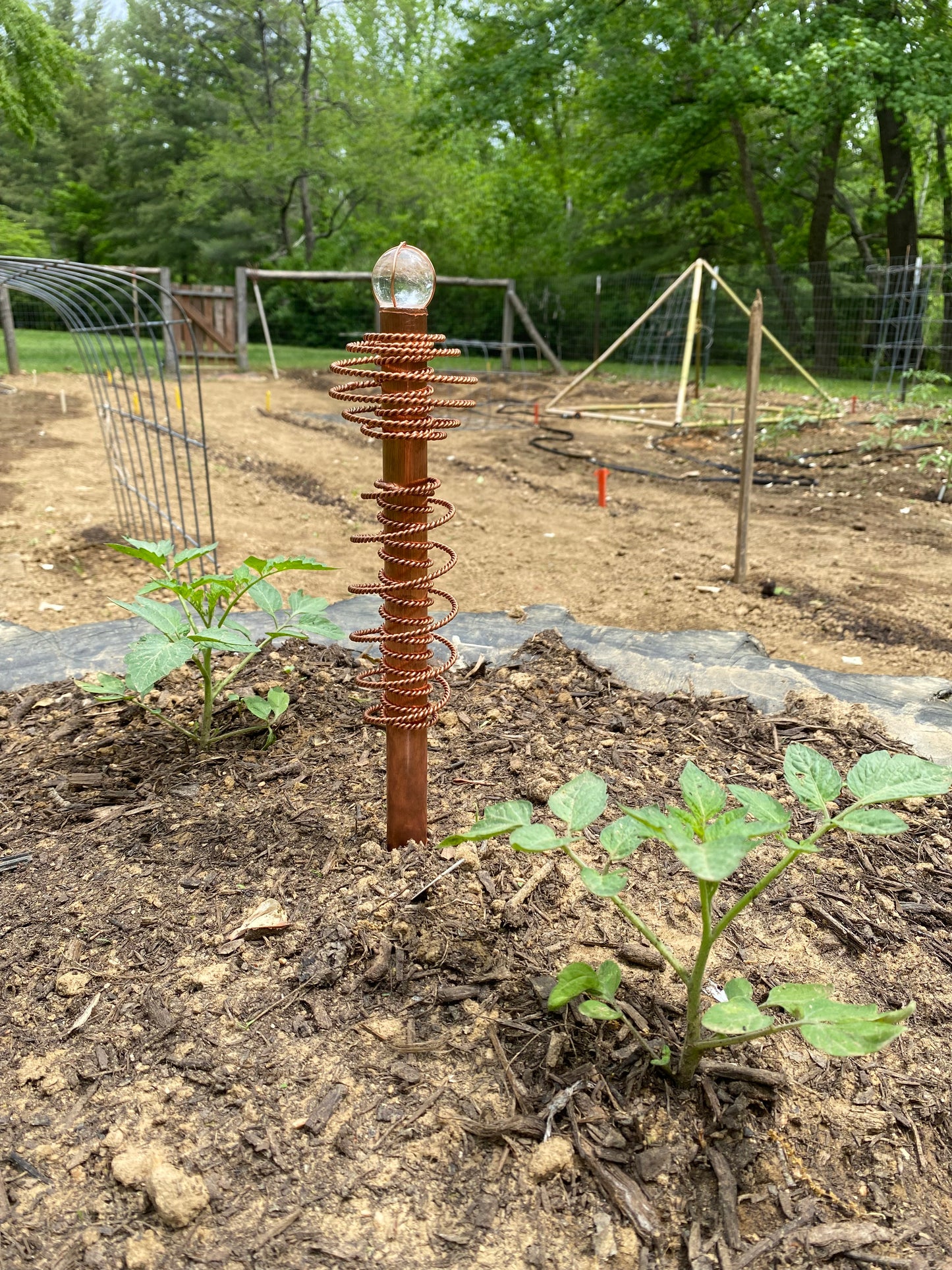 ElectroCulture Garden Antenna