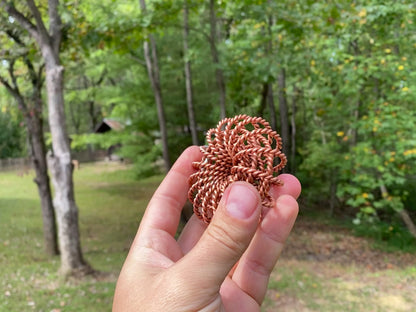 Alternating Coil Torus - Crystal Amp Station
